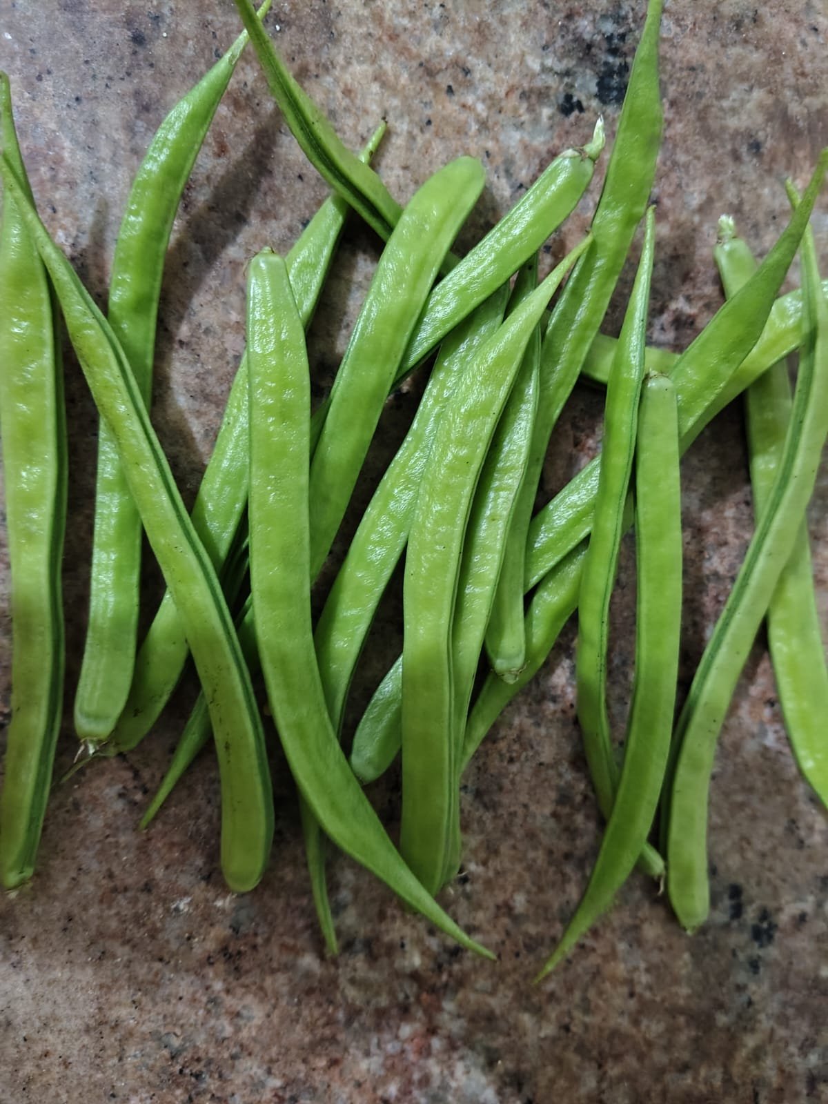 Cluster Beans Image